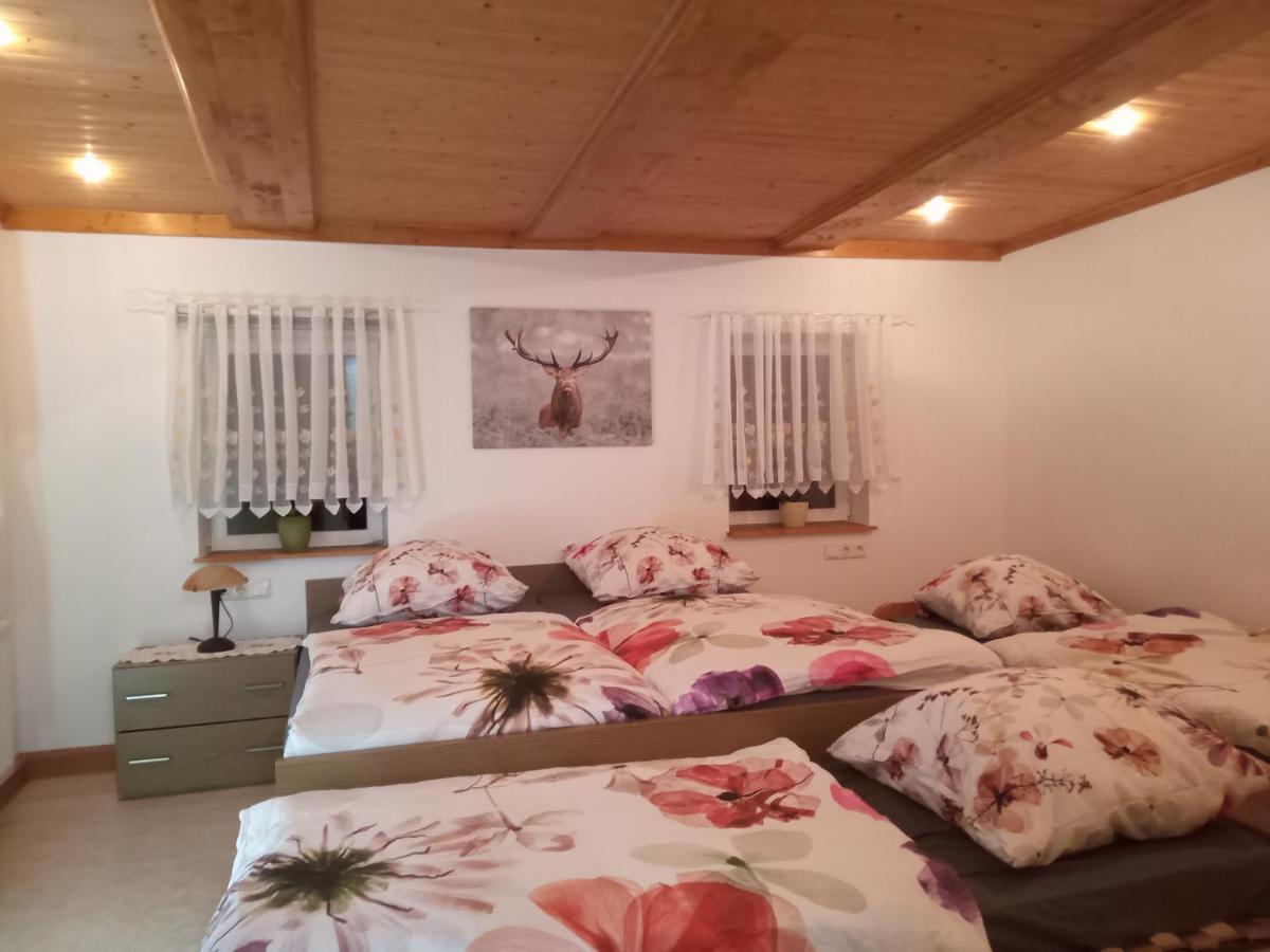 Ferienwohnung Zum Sebnitzer Hirsch 外观 照片