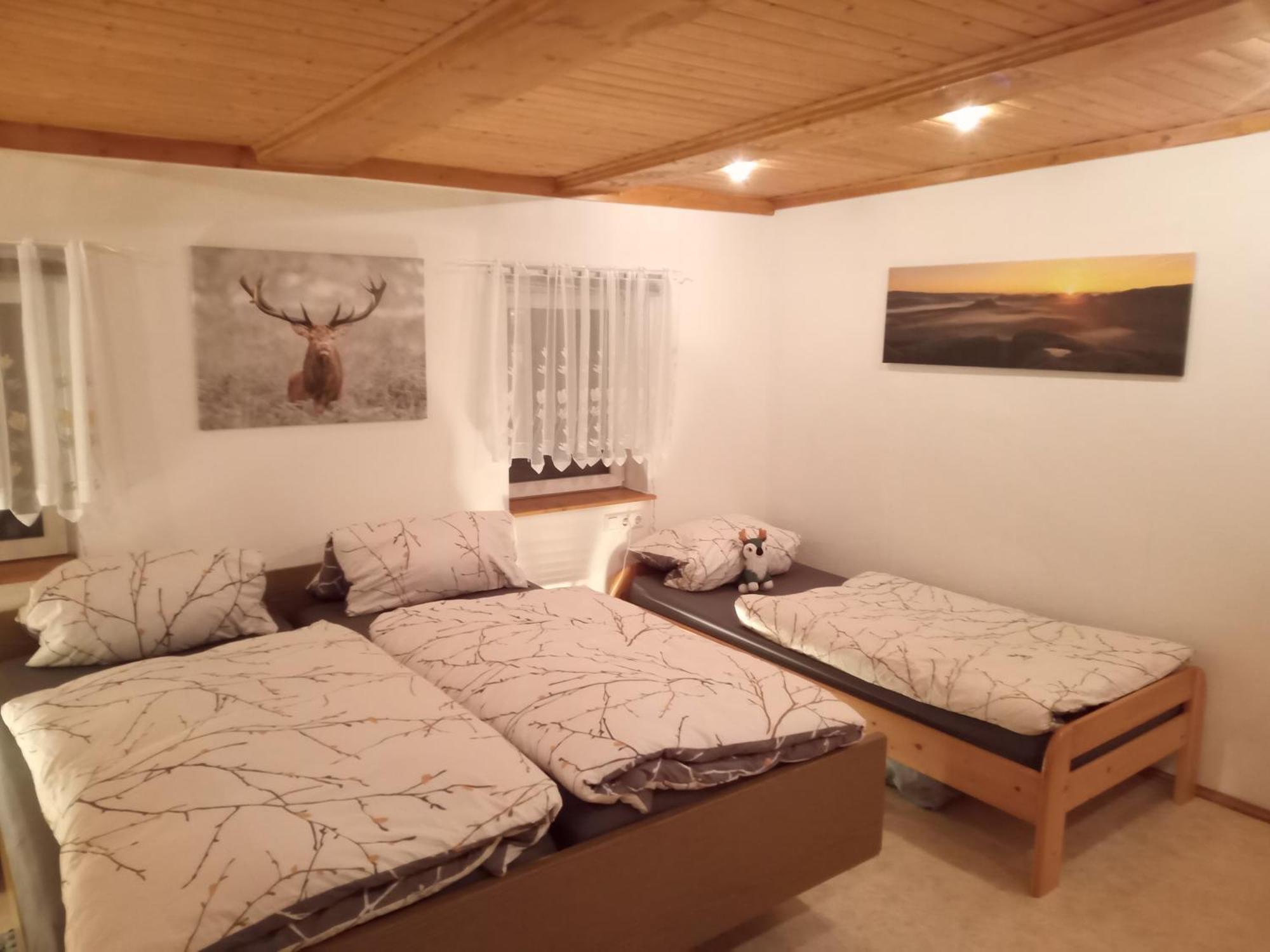 Ferienwohnung Zum Sebnitzer Hirsch 外观 照片